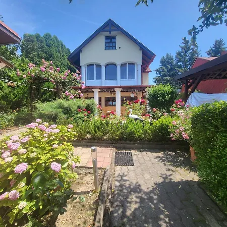 Apartament Patkohaz *